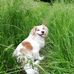 Edith Rausch - Facebook