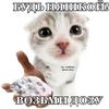 ÉdithRaymond - @constcisz7z - TikTok