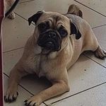 Edith Razo - @un_random10987490 - Instagram