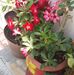 Edith Razo - Facebook
