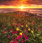 Edith Rea - Facebook