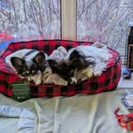 Edith Reardon - @brin1956 - Instagram