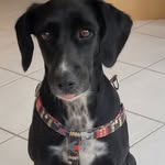 Edith Redzich - @redzichedith - Instagram