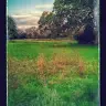 Edith Redmond - @user003448244 - TikTok
