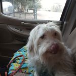 Edith Reese - @bunnyreese1970 - Instagram