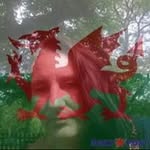 Michelle Edith Reeves - @michelleedithreeves - Instagram