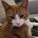 Edith Regina Kihlman - @edithregina - Instagram
