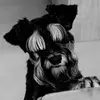 Edith Regina Palinchak - @edith.regina.pali - TikTok