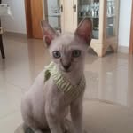 Edith Junh Reimann - @edithjunh - Instagram