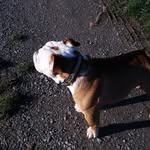 Edith Reimann - @stellaklecks - Instagram