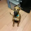 Edith Reinhardt - @edithreinhardt - TikTok