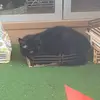 Edith für reiter - @reitter_eddit - TikTok