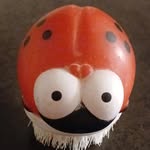 Edith Oberreiter - @edithoberreiter - Instagram