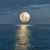 Edith Reiterer - @edith.reiterer - TikTok