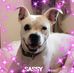 Edie Renfro - Facebook