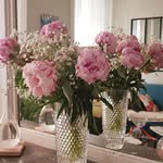 Edith Renner - @edith.renner7 - Instagram