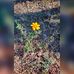 Edith Reyna - Facebook