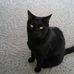 Edith Reynolds - Facebook
