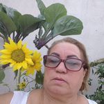 Edith Maria Ribeiro - @ribeiroedithmaria - Instagram