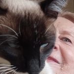 Edith Ribeiro - @edith.ribeiro.79 - Instagram