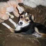 Edith Rice - @grandma_tut - Instagram