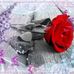 Edith Richards - Facebook