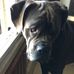 Claudia Edith Riedel - Facebook