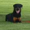 Edith Riemer SMILEY - @edith.riemer.smil - TikTok