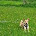 Edith Ritter - Facebook