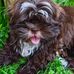 Edie Ritz - Facebook