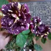 Edith Ritz edith - @edith.ritz.edith - TikTok