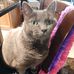 Edith Robertson - Facebook