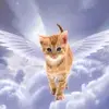 Edith Rocha - @edith.rocha721 - TikTok