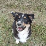 Edith From Devil Rock - @edith_aussie - Instagram