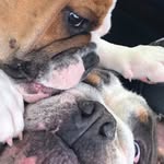 Edith rockey - @edith_rockey - Instagram