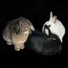 Edith • Roger • Lu - @edith.roger.lu - TikTok