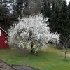Editha Rohde - Feldmann - @user8i0p9ukpgd - TikTok