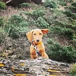 edithroig - @edithroigmacau - Instagram