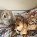 Edith Roger - Facebook