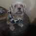 Edith Rosa - Facebook