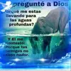Edith Rosario - @edithrosario01 - TikTok