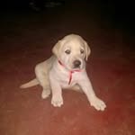 edith rosario cancho misaico - @edithrosar - Instagram