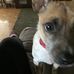 Edith Ross - Facebook