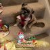 Edith Jewell Rowe - Facebook