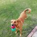 Edith Rowe - Facebook