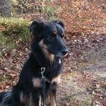 Edith Schmidt - @edith.schmidt.3701 - Instagram