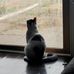 Editha Schmidt - Facebook