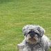 Edith Simpson - Facebook