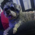 Edith Simpson - @edith.simpson.9047 - Instagram