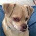 Edith Skinner - Facebook